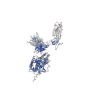 32503_7whk_C_v1-0
The state 3 complex structure of Omicron spike with Bn03 (2-up RBD, 5 nanobodies)