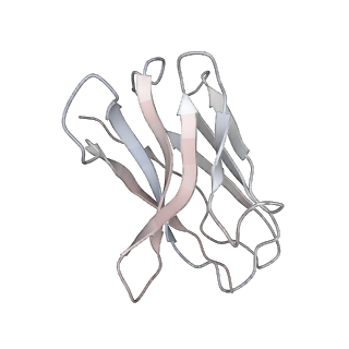32503_7whk_D_v1-0
The state 3 complex structure of Omicron spike with Bn03 (2-up RBD, 5 nanobodies)