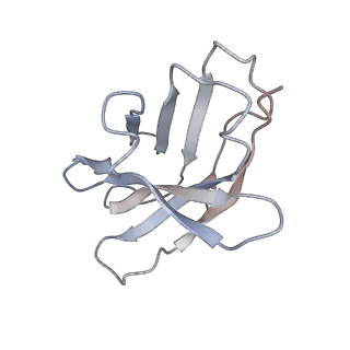 32503_7whk_H_v1-0
The state 3 complex structure of Omicron spike with Bn03 (2-up RBD, 5 nanobodies)