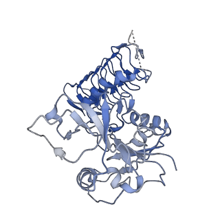 32509_7whr_A_v1-0
Cryo-EM Structure of Leishmanial GDP-mannose pyrophosphorylase