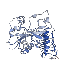 32509_7whr_B_v1-0
Cryo-EM Structure of Leishmanial GDP-mannose pyrophosphorylase