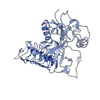 32509_7whr_C_v1-0
Cryo-EM Structure of Leishmanial GDP-mannose pyrophosphorylase