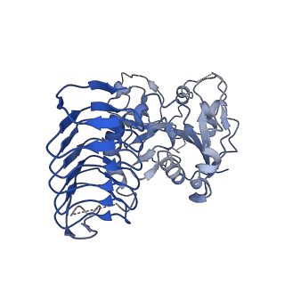 32509_7whr_D_v1-0
Cryo-EM Structure of Leishmanial GDP-mannose pyrophosphorylase