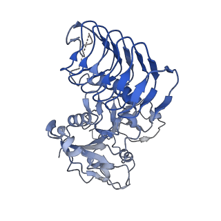 32509_7whr_E_v1-0
Cryo-EM Structure of Leishmanial GDP-mannose pyrophosphorylase