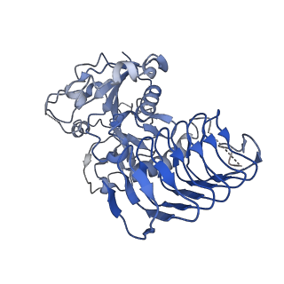 32509_7whr_F_v1-0
Cryo-EM Structure of Leishmanial GDP-mannose pyrophosphorylase