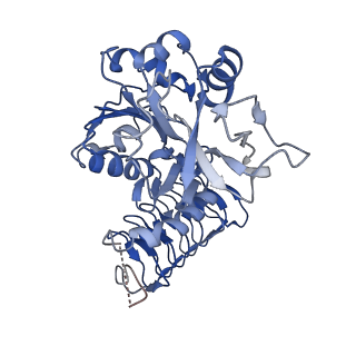 32510_7whs_A_v1-0
Cryo-EM Structure of Leishmanial GDP-mannose pyrophosphorylase in complex with GTP