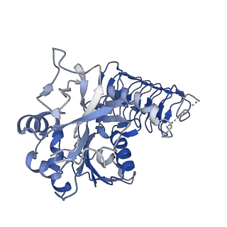 32510_7whs_B_v1-0
Cryo-EM Structure of Leishmanial GDP-mannose pyrophosphorylase in complex with GTP