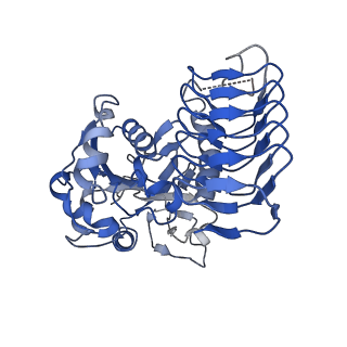 32510_7whs_C_v1-0
Cryo-EM Structure of Leishmanial GDP-mannose pyrophosphorylase in complex with GTP