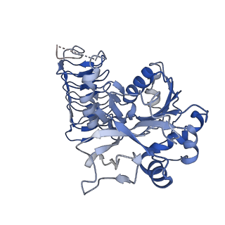 32510_7whs_F_v1-0
Cryo-EM Structure of Leishmanial GDP-mannose pyrophosphorylase in complex with GTP