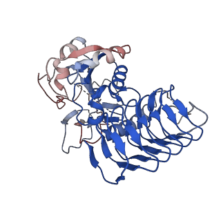 32511_7wht_C_v1-0
Cryo-EM Structure of Leishmanial GDP-mannose pyrophosphorylase in complex with GDP-Mannose