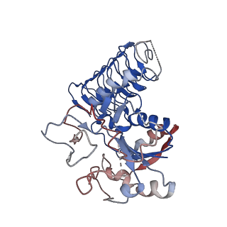32511_7wht_D_v1-0
Cryo-EM Structure of Leishmanial GDP-mannose pyrophosphorylase in complex with GDP-Mannose