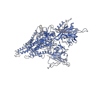 32512_7whv_A_v1-1
Cryo-EM structure of Dnf1 from Saccharomyces cerevisiae in detergent with beryllium fluoride (E2P state)