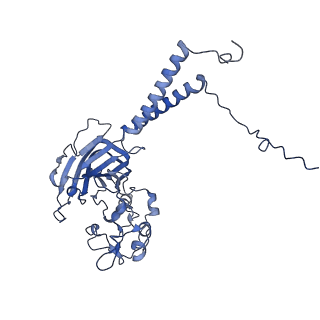 32512_7whv_B_v1-1
Cryo-EM structure of Dnf1 from Saccharomyces cerevisiae in detergent with beryllium fluoride (E2P state)