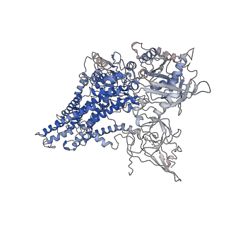 32513_7whw_A_v1-1
Cryo-EM structure of Dnf1 from Saccharomyces cerevisiae in detergent with AMPPCP (E1-ATP state)