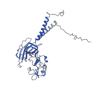 32513_7whw_B_v1-1
Cryo-EM structure of Dnf1 from Saccharomyces cerevisiae in detergent with AMPPCP (E1-ATP state)