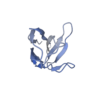 32516_7whz_D_v1-0
SARS-CoV-2 spike protein in complex with three human neutralizing antibodies