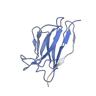 32516_7whz_H_v1-0
SARS-CoV-2 spike protein in complex with three human neutralizing antibodies