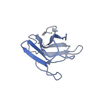 32516_7whz_L_v1-0
SARS-CoV-2 spike protein in complex with three human neutralizing antibodies
