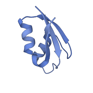 37551_8whx_3_v1-0
Cryo- EM structure of Mycobacterium smegmatis 70S ribosome and RafH.