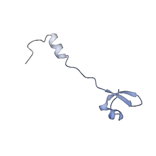 37551_8whx_5_v1-0
Cryo- EM structure of Mycobacterium smegmatis 70S ribosome and RafH.