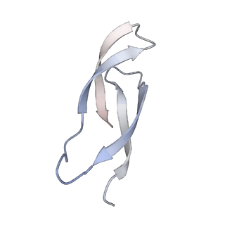 37551_8whx_6_v1-0
Cryo- EM structure of Mycobacterium smegmatis 70S ribosome and RafH.