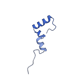 37551_8whx_7_v1-0
Cryo- EM structure of Mycobacterium smegmatis 70S ribosome and RafH.