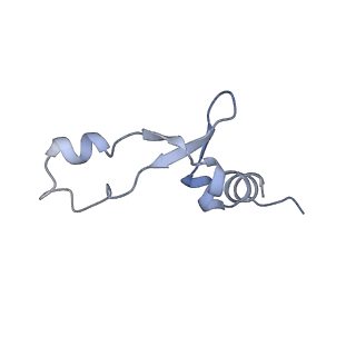 37551_8whx_8_v1-0
Cryo- EM structure of Mycobacterium smegmatis 70S ribosome and RafH.