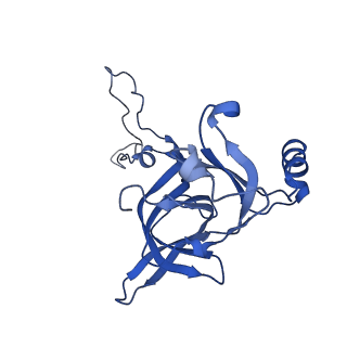 37551_8whx_F_v1-0
Cryo- EM structure of Mycobacterium smegmatis 70S ribosome and RafH.