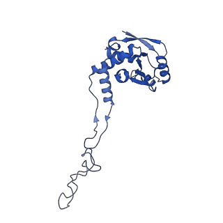 37551_8whx_G_v1-0
Cryo- EM structure of Mycobacterium smegmatis 70S ribosome and RafH.