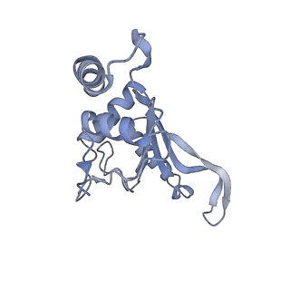 37551_8whx_H_v1-0
Cryo- EM structure of Mycobacterium smegmatis 70S ribosome and RafH.