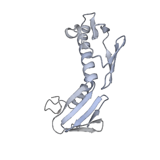 37551_8whx_I_v1-0
Cryo- EM structure of Mycobacterium smegmatis 70S ribosome and RafH.