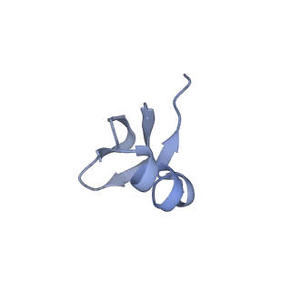 37551_8whx_J_v1-0
Cryo- EM structure of Mycobacterium smegmatis 70S ribosome and RafH.