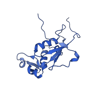 37551_8whx_M_v1-0
Cryo- EM structure of Mycobacterium smegmatis 70S ribosome and RafH.