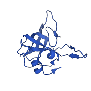 37551_8whx_N_v1-0
Cryo- EM structure of Mycobacterium smegmatis 70S ribosome and RafH.