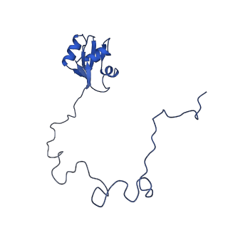 37551_8whx_O_v1-0
Cryo- EM structure of Mycobacterium smegmatis 70S ribosome and RafH.