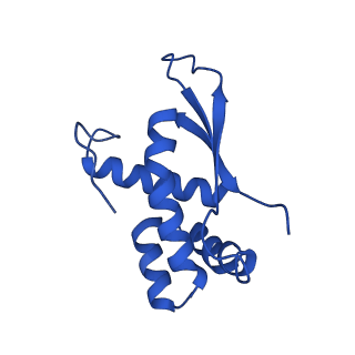 37551_8whx_Q_v1-0
Cryo- EM structure of Mycobacterium smegmatis 70S ribosome and RafH.