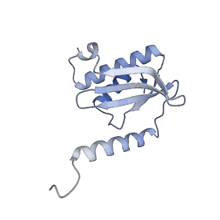 37551_8whx_R_v1-0
Cryo- EM structure of Mycobacterium smegmatis 70S ribosome and RafH.