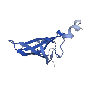 37551_8whx_S_v1-0
Cryo- EM structure of Mycobacterium smegmatis 70S ribosome and RafH.