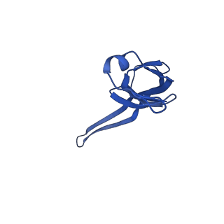 37551_8whx_U_v1-0
Cryo- EM structure of Mycobacterium smegmatis 70S ribosome and RafH.