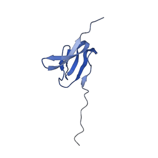 37551_8whx_Z_v1-0
Cryo- EM structure of Mycobacterium smegmatis 70S ribosome and RafH.