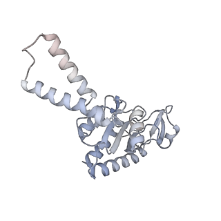 37551_8whx_c_v1-0
Cryo- EM structure of Mycobacterium smegmatis 70S ribosome and RafH.