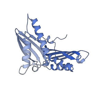 37551_8whx_d_v1-0
Cryo- EM structure of Mycobacterium smegmatis 70S ribosome and RafH.
