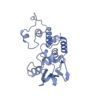 37551_8whx_e_v1-0
Cryo- EM structure of Mycobacterium smegmatis 70S ribosome and RafH.