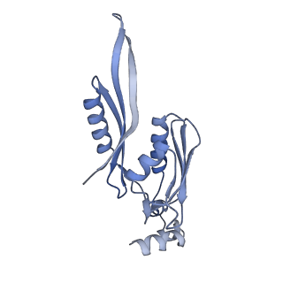 37551_8whx_f_v1-0
Cryo- EM structure of Mycobacterium smegmatis 70S ribosome and RafH.