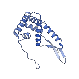 37551_8whx_h_v1-0
Cryo- EM structure of Mycobacterium smegmatis 70S ribosome and RafH.