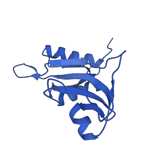 37551_8whx_i_v1-0
Cryo- EM structure of Mycobacterium smegmatis 70S ribosome and RafH.