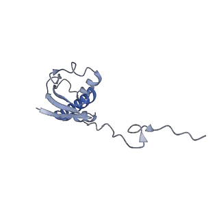 37551_8whx_j_v1-0
Cryo- EM structure of Mycobacterium smegmatis 70S ribosome and RafH.