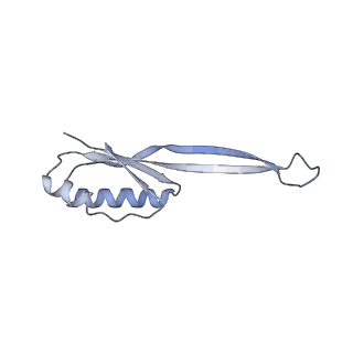 37551_8whx_k_v1-0
Cryo- EM structure of Mycobacterium smegmatis 70S ribosome and RafH.