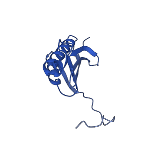 37551_8whx_l_v1-0
Cryo- EM structure of Mycobacterium smegmatis 70S ribosome and RafH.