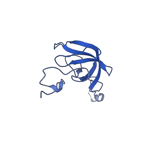 37551_8whx_m_v1-0
Cryo- EM structure of Mycobacterium smegmatis 70S ribosome and RafH.